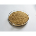 Hot Selling Natural Seaweed Extract Powder